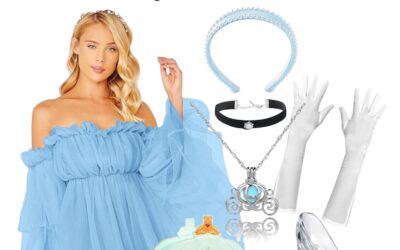 CINDERELLA INSPIRED LOOKS