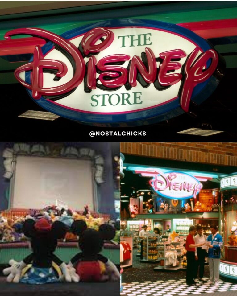 THE DISNEY STORE