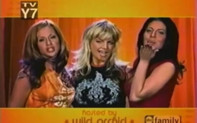 GREAT PRETENDERS THEME SONG