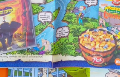 90’S THE WILD THORNBERRIES CARTOON