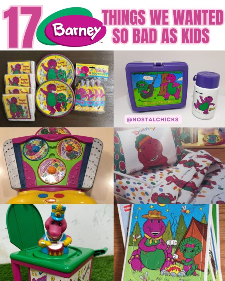 17 BARNEY THINGS WE WANTED SO BAD AS KIDS