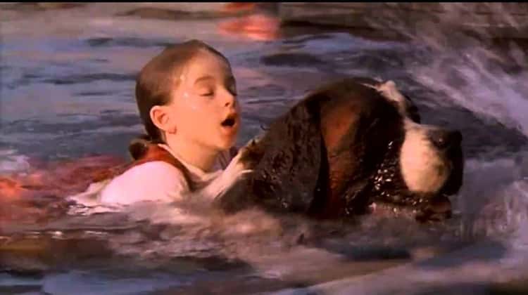 BEETHOVEN MOVIE – BEETHOVEN SAVES EMILY FROM DROWNING SCENE