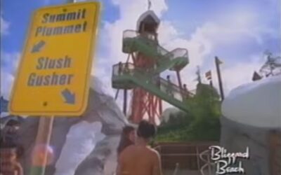 BLIZZARD BEACH PROMO