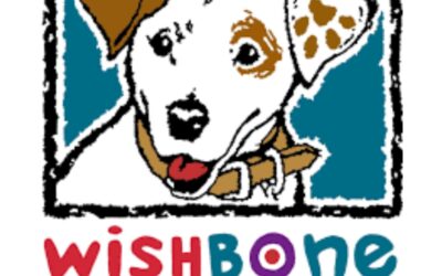 WHAT’S THE STORY, WISHBONE? A THROWBACK TO OUR FAVORITE LITERARY PUP
