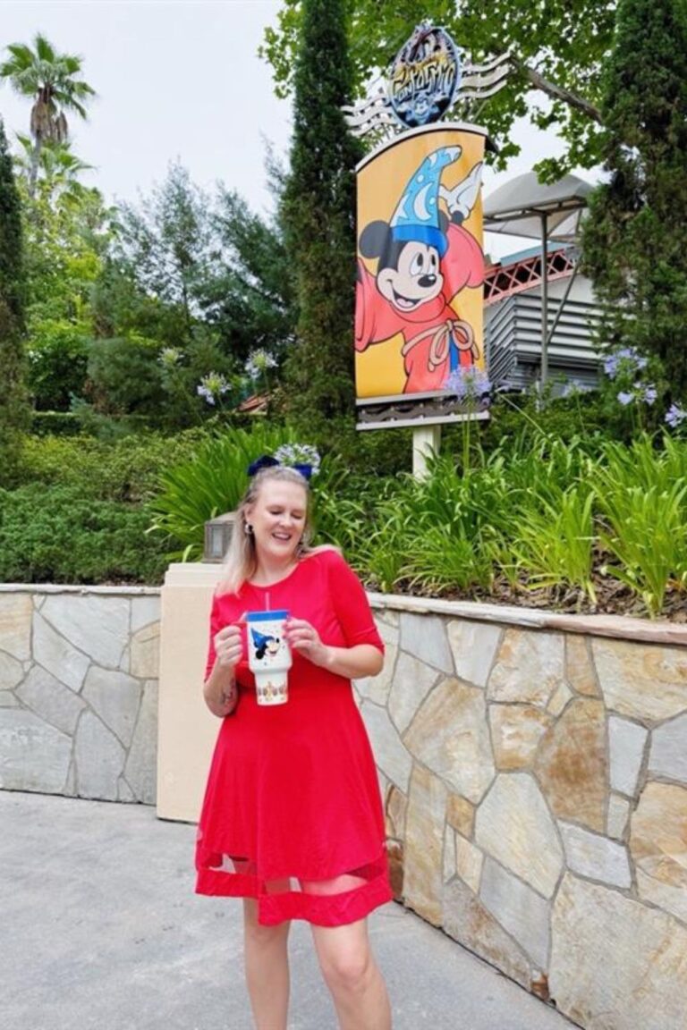 DISNEY’S HOLLYWOOD STUDIOS OUTFIT